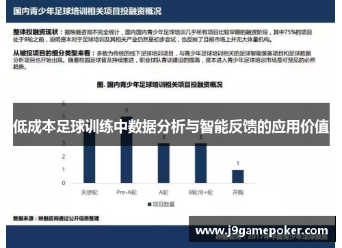 低成本足球训练中数据分析与智能反馈的应用价值